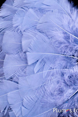 Dinde - 6-8 cm - gris clair